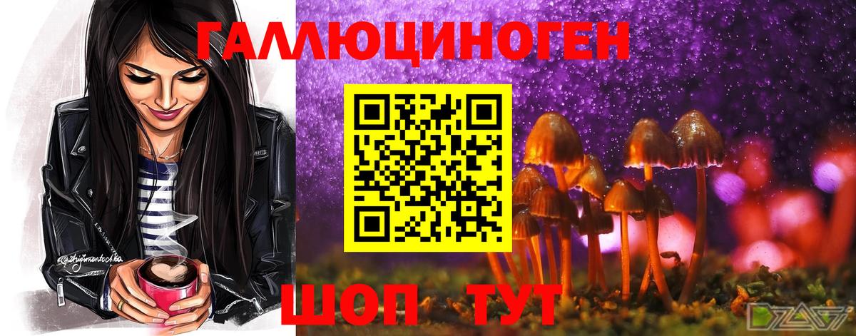Галлюциногенные грибы ЛСД Лесной