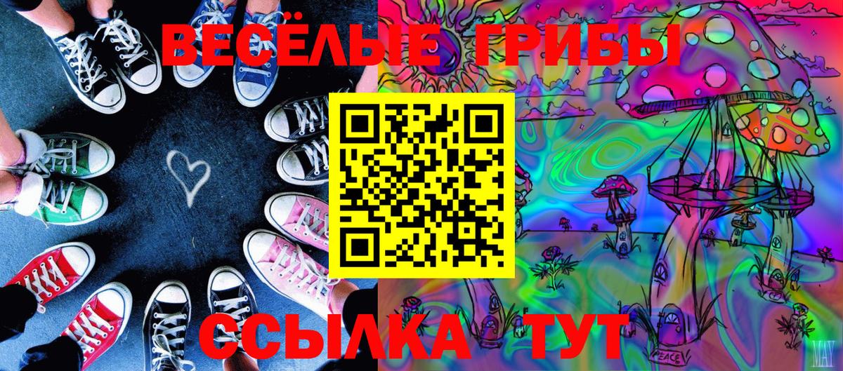 Лесной  Псилоцибиновые грибы Cubensis  Вход с VPN 