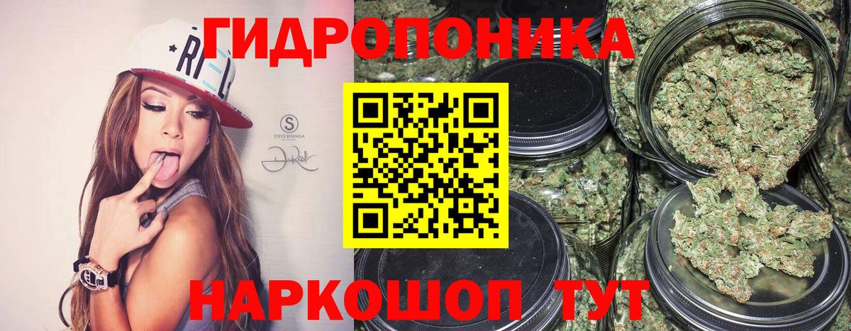 Каннабис гибрид  Каннабис Ganja  Лесной  Марихуана марихуана  Вход с VPN 